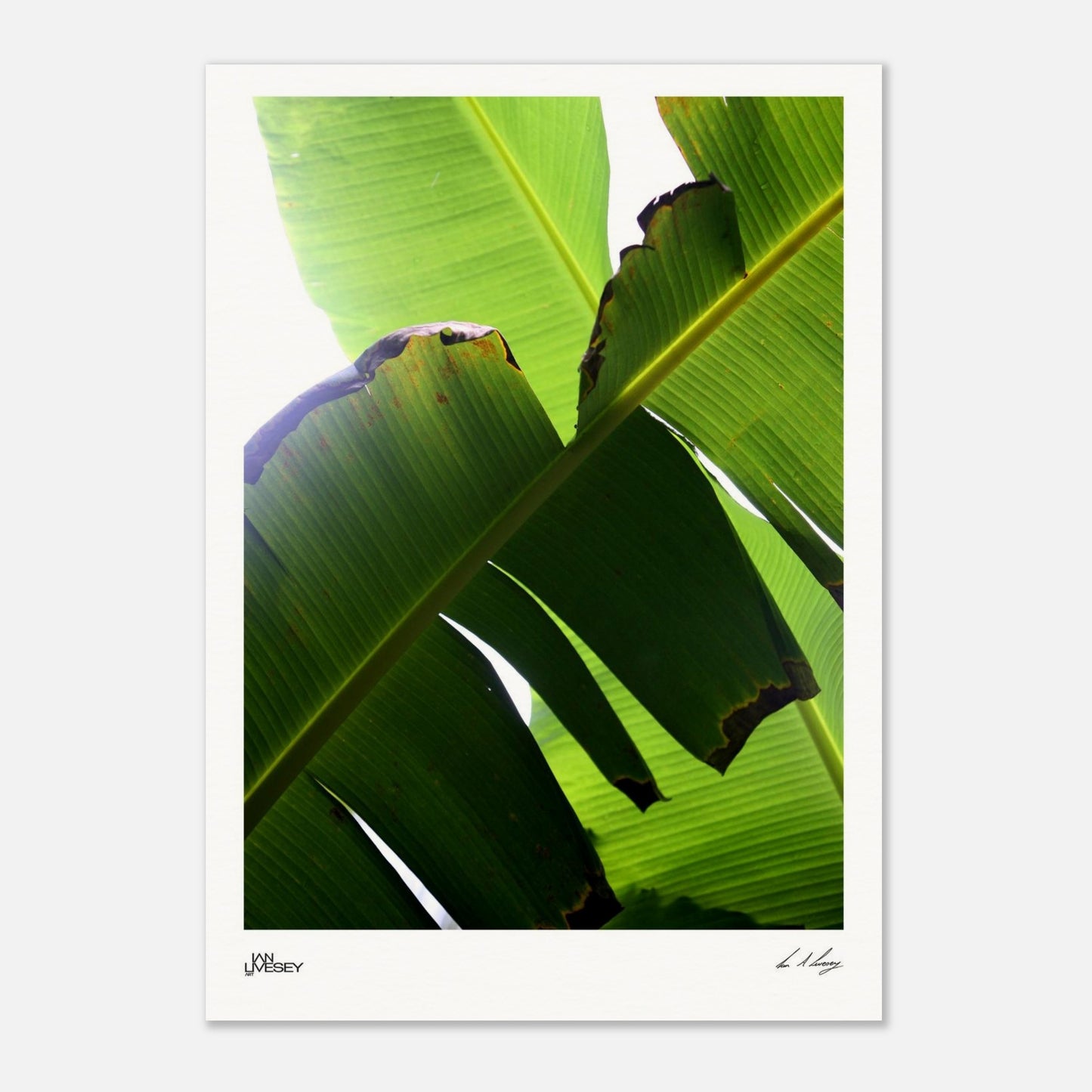 0e121eca-0bf5-464a-aec1-2ab2e0d7ea7f