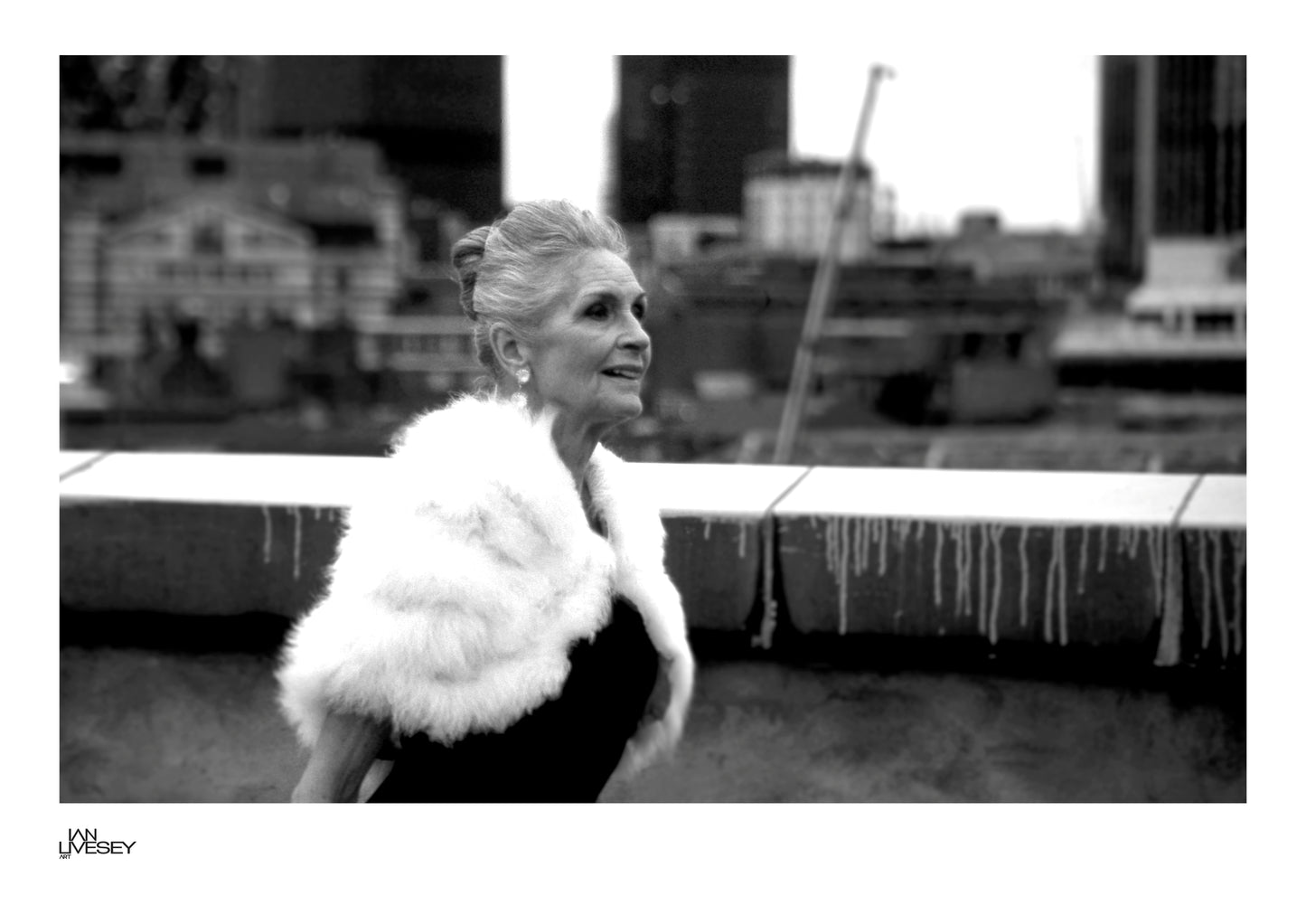 Daphne Selfe Elegance Above the City - Limited Edition (Monochrome))