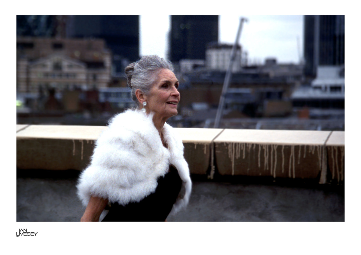Daphne Selfe Elegance Above the City - Limited Edition