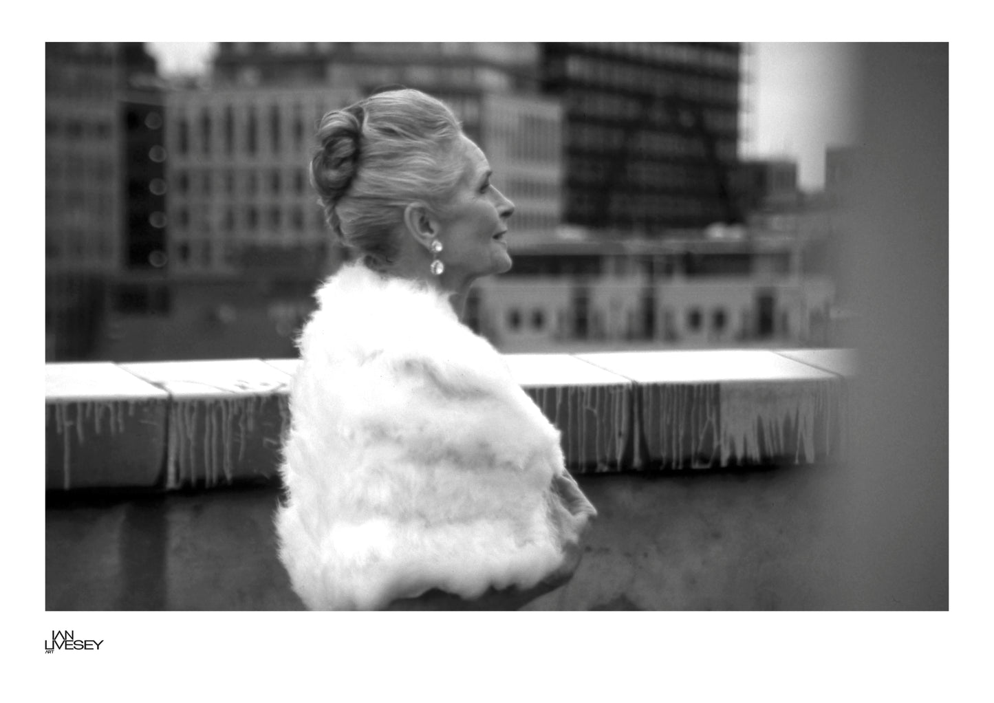 Daphne Selfe Elegance Above the City #2 - Limited Edition