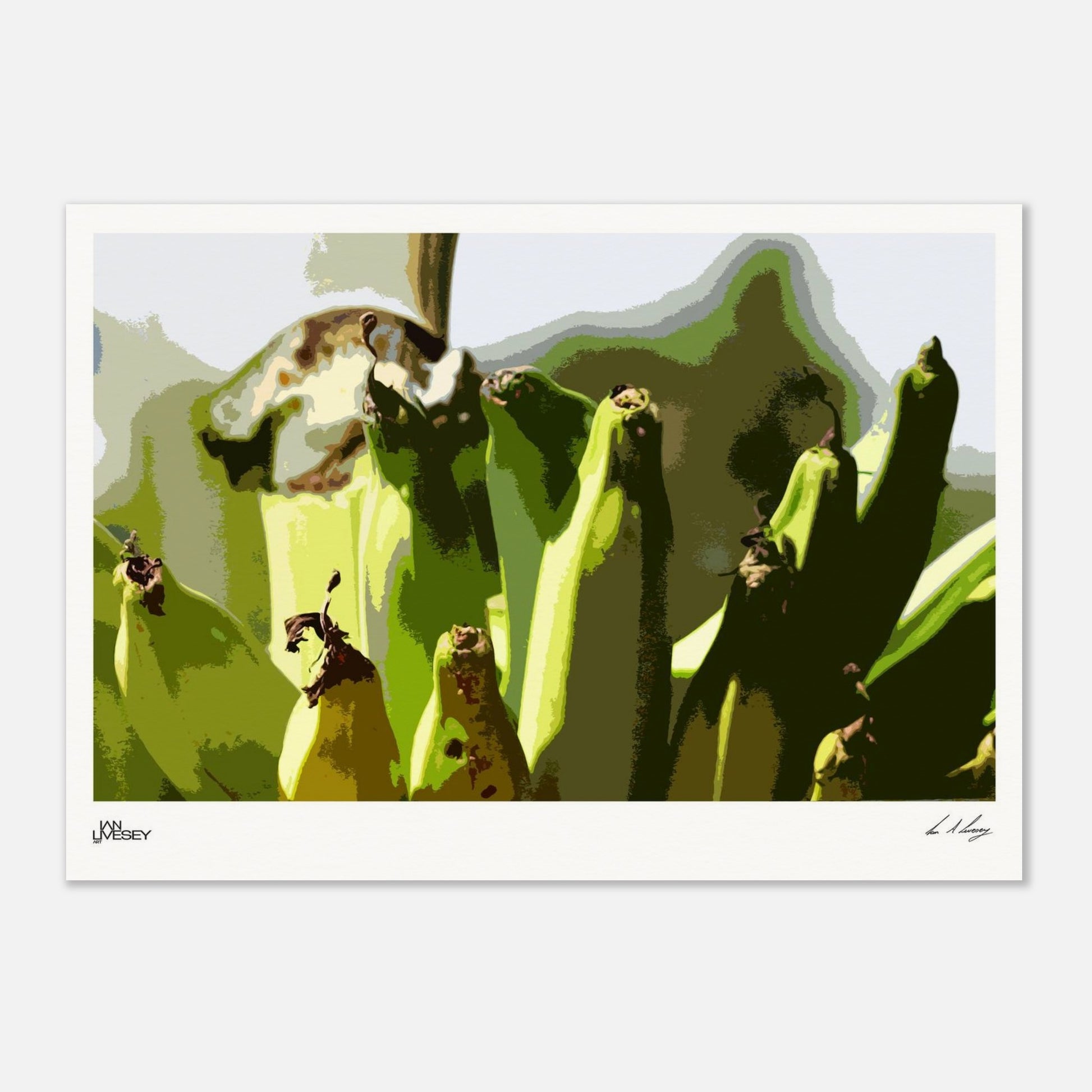 15170650-6c20-4927-b8af-a12448737037