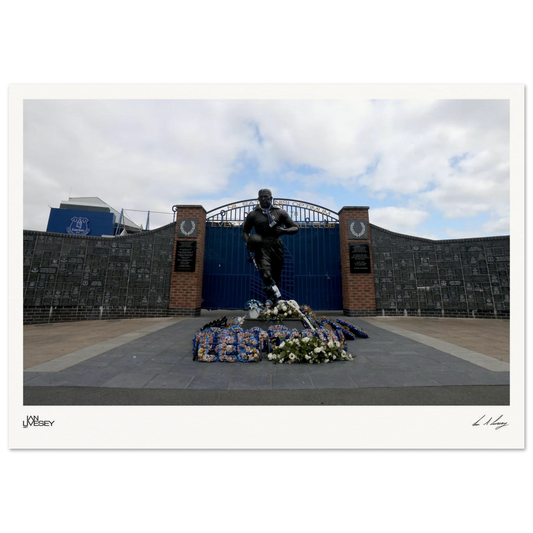 253d65ce-be88-4040-926c-b8d6cb216543