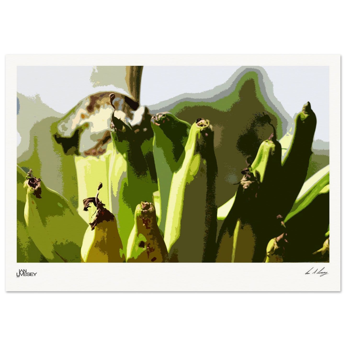 34ad1e28-c558-460a-9dcf-e1b500c08fd2