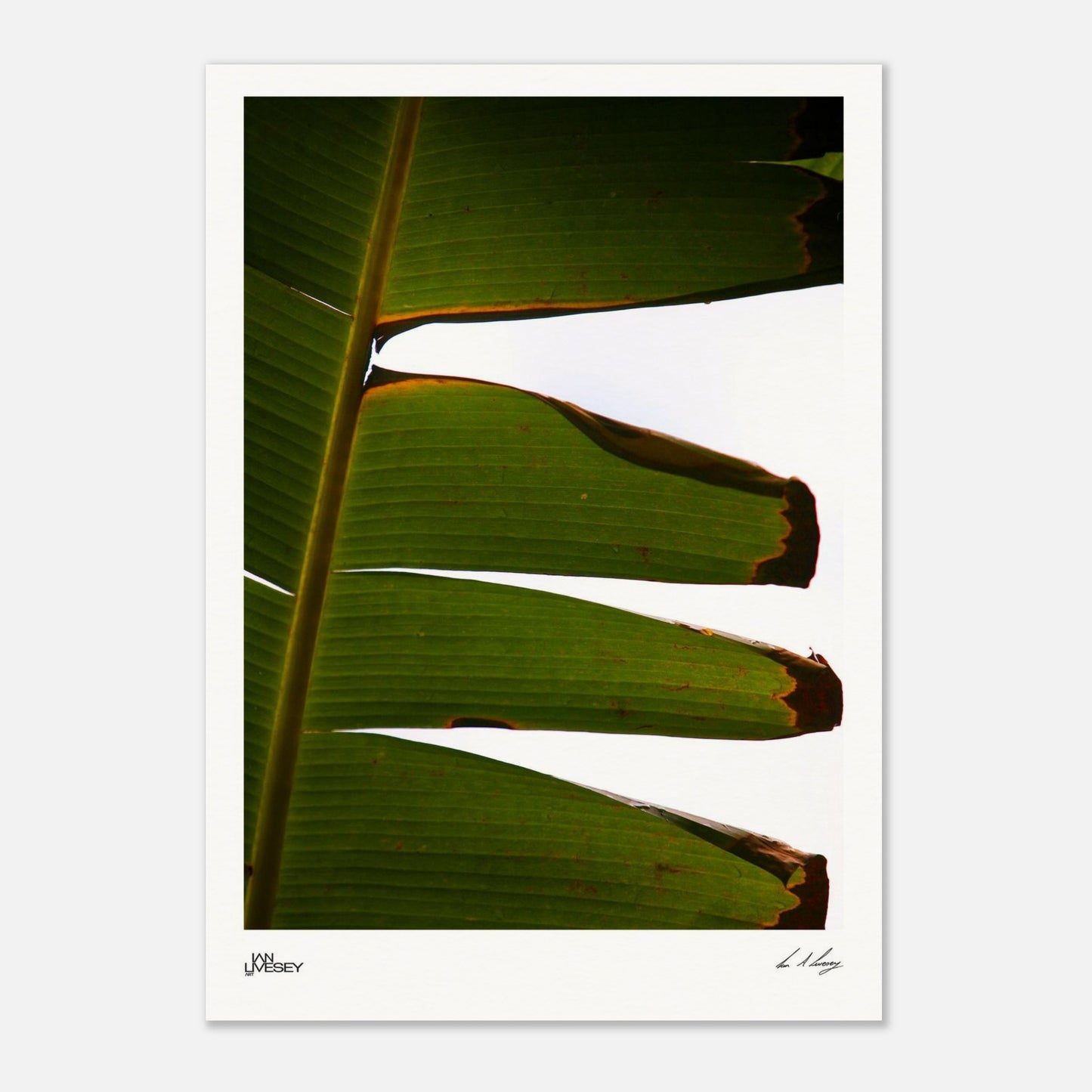 57a66366-6746-4586-b9a1-28518748ff6c