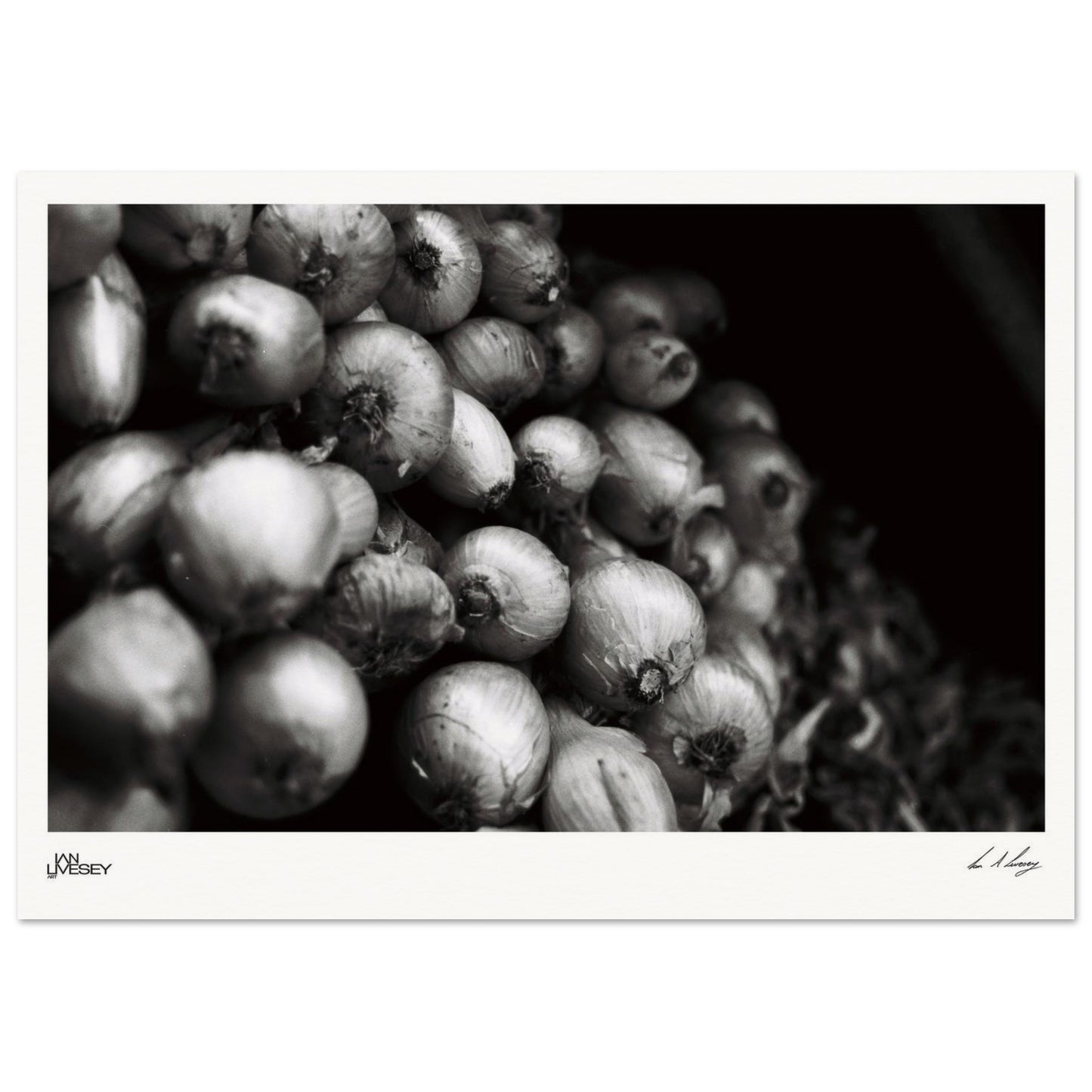 8792ca06-1307-4e00-9de8-cff6e02dbd8e