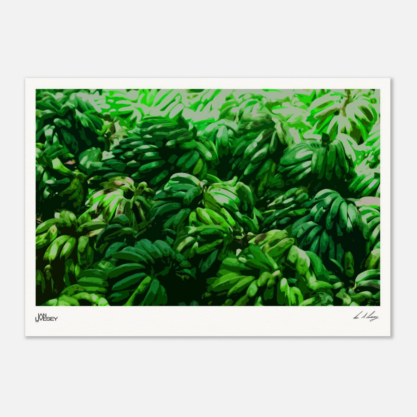 8ff911b6-1978-4ec7-9391-7e20aa008dd0