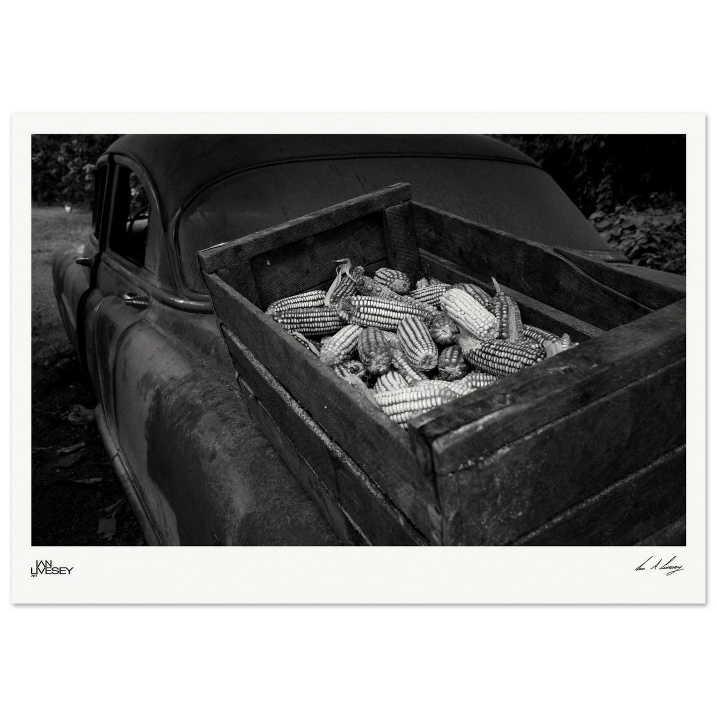 9f688b66-fff1-49e5-970b-458ec11f7d3c