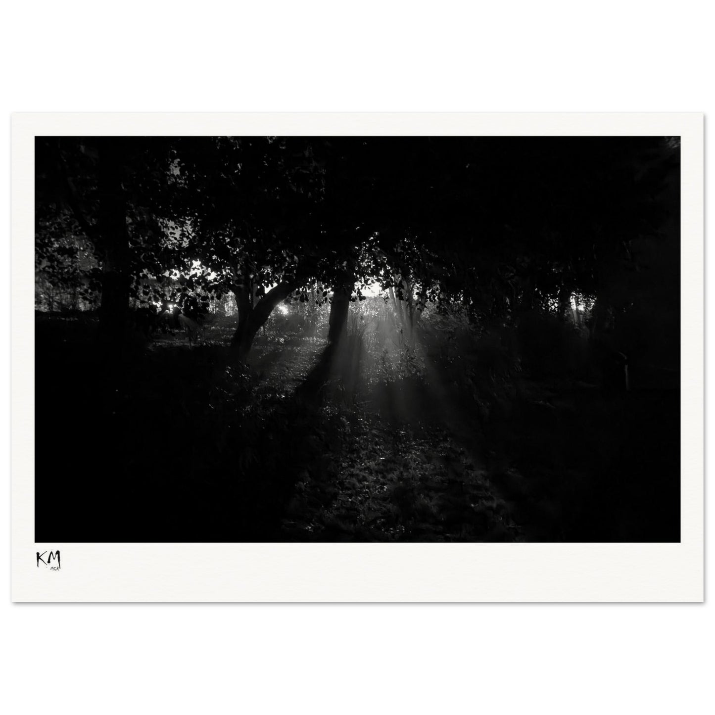 a01fc91e-637c-4526-b2b6-979c3f411c8e