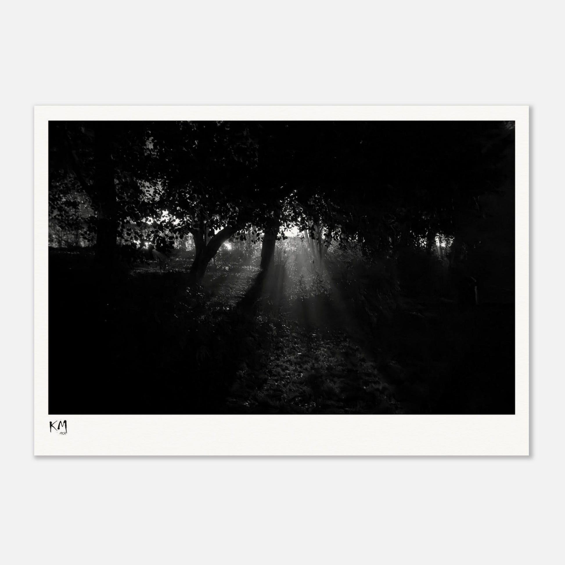 c59216a1-0aaa-44da-a0ad-63661211b659