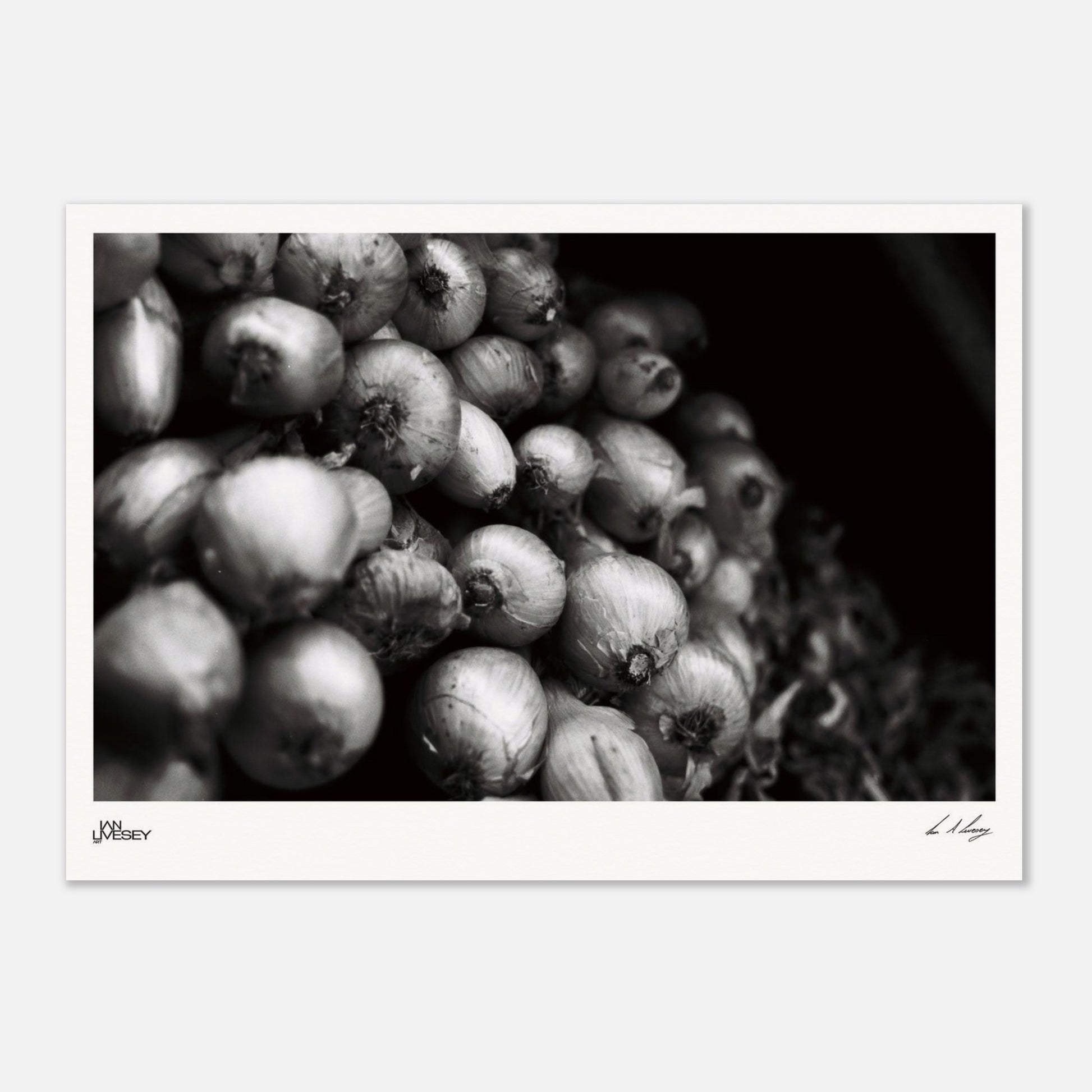 e95b9f48-3293-471b-96eb-e8eac0972fb2