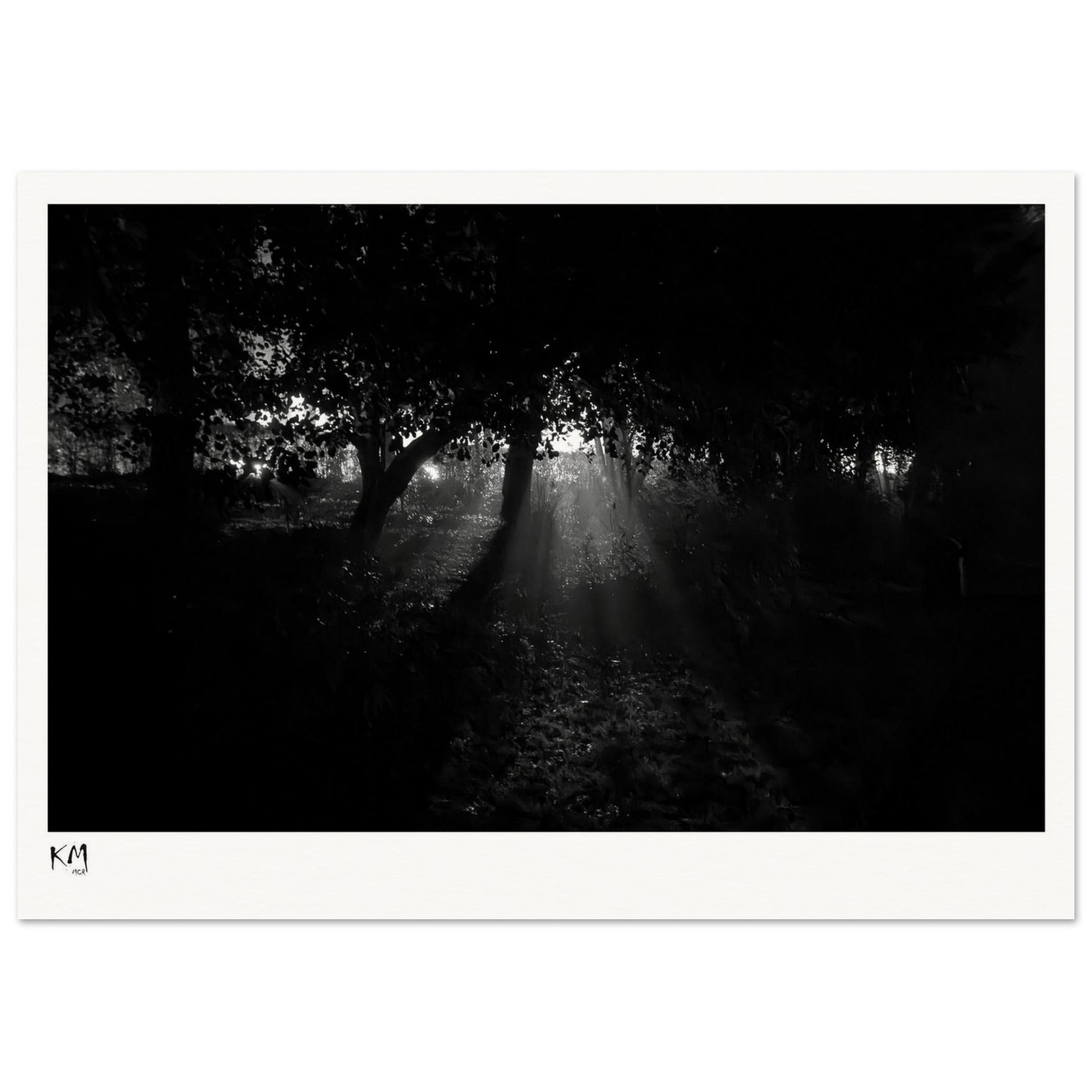 f62243e3-e569-40a9-b320-bec62cedbb78